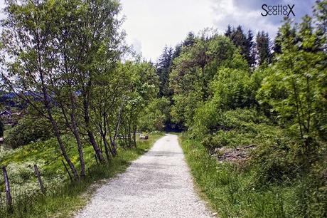 Perchè non possiamo fare come tutte le coppie del mondo...