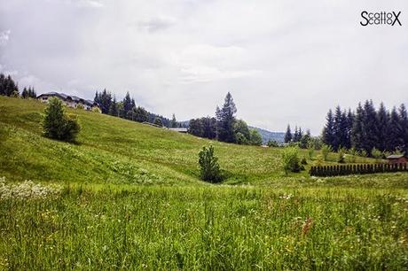 Perchè non possiamo fare come tutte le coppie del mondo...