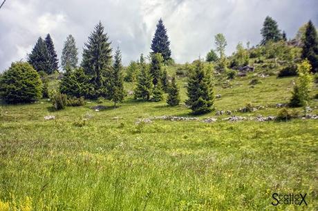 Perchè non possiamo fare come tutte le coppie del mondo...