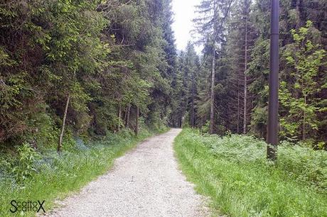 Perchè non possiamo fare come tutte le coppie del mondo...