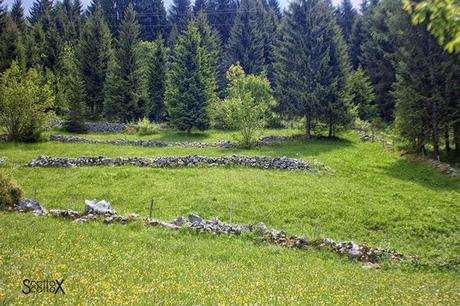 Perchè non possiamo fare come tutte le coppie del mondo...