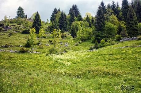 Perchè non possiamo fare come tutte le coppie del mondo...