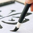 Aikido: blocca siamo bloccarlo?