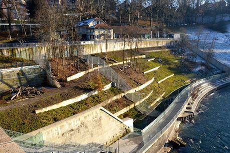 Berna - parco degli orsi