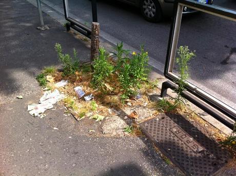 Una semplice fotogallery per sintonizzarsi sul reale stato di Monteverde. Il quartiere dove un appartamentino costa come un palazzo a Berlino