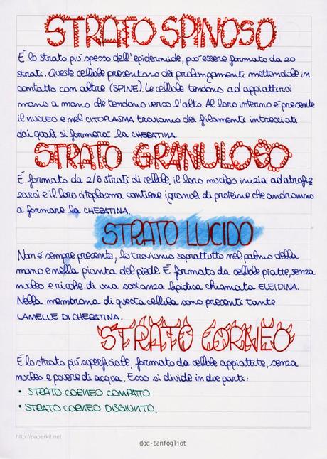 Lo strato più superficiale della pelle: l'epidermide