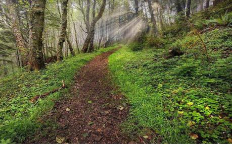 QUATTRO PASSI  VERSO UN NUOVO CAMMINO (I° CAPITOLO)