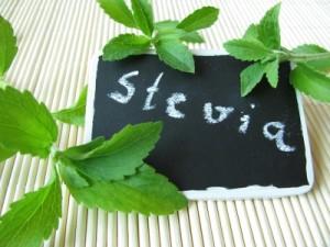 Stevia