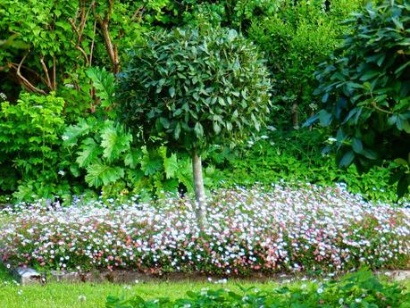 Giardini Italiani - La Foce