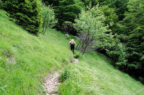 MONTE VOGEL : da Tolminske Ravne