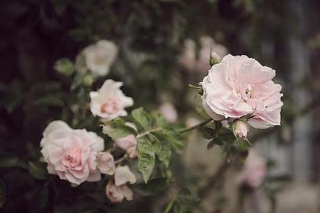 Boho-Styled-Shoot-with-Weddings-in-Tuscany_0003