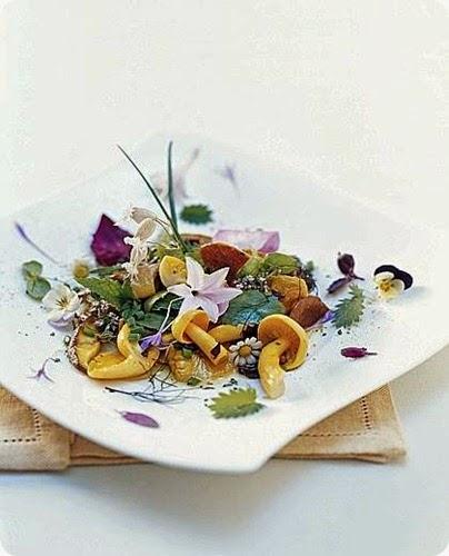 erbe selvatiche con fiori e funghi