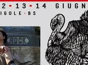 Nosilenz Indie Rock Festival 2014, giugno Cigole Brescia.
