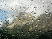 Taci, Gabriele (che pineto piove)