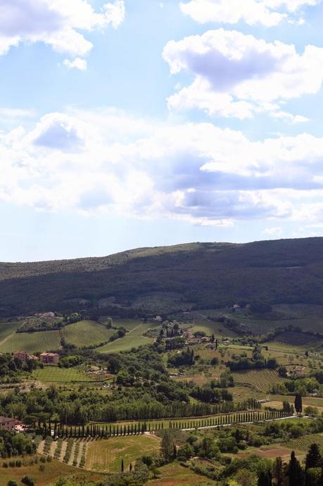 day trip / Elliott Erwitt e qualche calice di vino a San Gimignano!