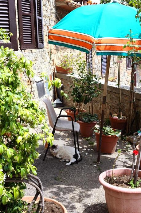 day trip / Elliott Erwitt e qualche calice di vino a San Gimignano!