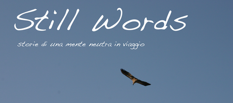 La micro INTERVISTA a: Still Words