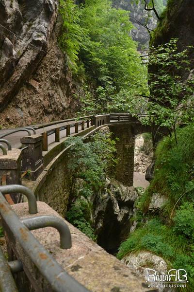 La vecchia strada della Valcellina.