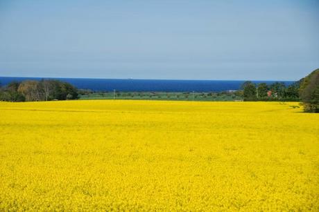 Denmark: Welcome to the happiest country of the world. II parte