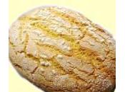 Bensone Modenese