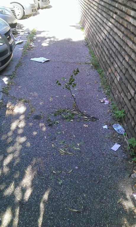 Via dei Frentani. Le prove provate di una strada centralissima che non viene pulita da cento giorni. Ormai la spazzatura è fossile, presto protetta dalla Sovrintendenza?