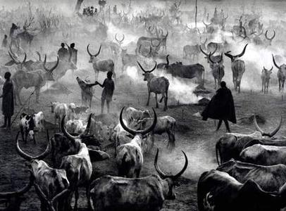 (c) Sebastiao Salgado - Genesi