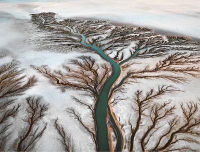 Edward Buntynsky - Watermark