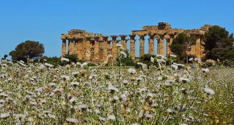 Taste of Sicily 2