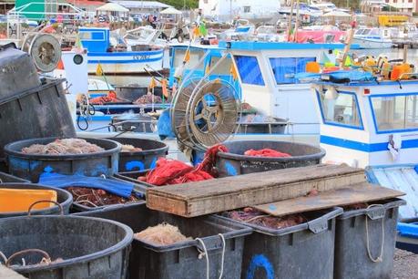 Pescatrice per un giorno - OUT-FIT