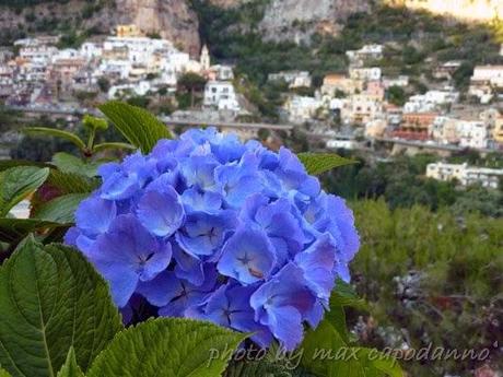 Positano escondida .....................