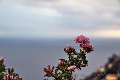 Positano escondida .....................