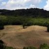 Val d'Orcia