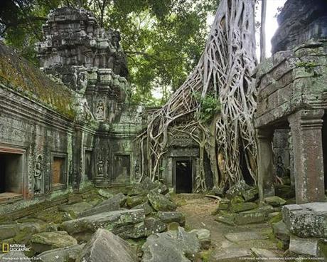 Il Ta Prohm ad Angkor, Cambogia