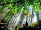 Come evitare ripetere stessi errori