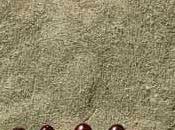 Torta rovesciata ciliegie