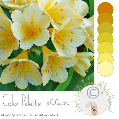 Yellow Color Palettes