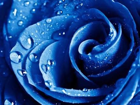 'I fiori blu' di Raymond Queneau ~ Recensione