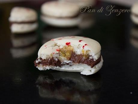 macaron novessentia