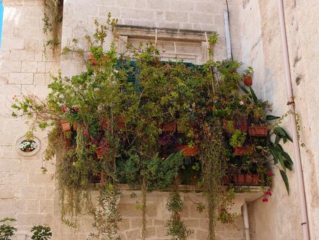 Polignano a mare...