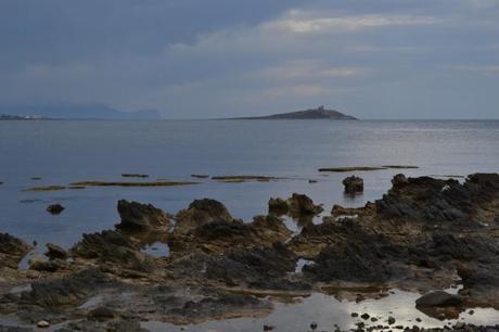 Sferracavallo isola femmine