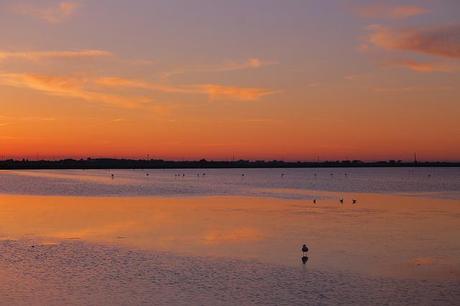 Saline di Cervia, Italia