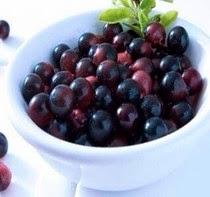 Acai, Acerola, Cupuacu fonti naturali di energia. Come li usiamo noi.