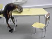 Maurizio Cattelan