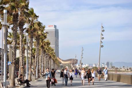 Barcellona l'incantatrice: 5 cose da fare assolutamente in città