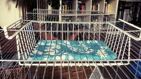 Attrezzatura per ratti