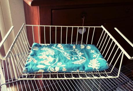 Attrezzatura per ratti