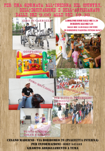 mercatino a cesano maderno 15 giugno 2014 (1)