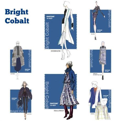 bright cobalt Collage.jpg