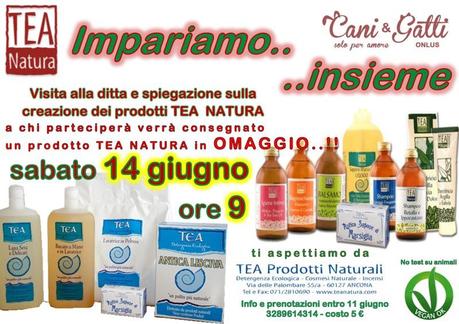 Tea Natura, impariamo insieme