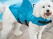 Shark Flotation Vest Dogs